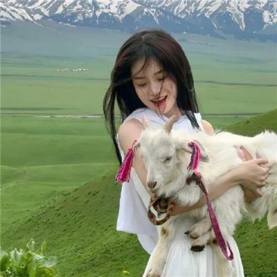 摩尔庄园冰世纪